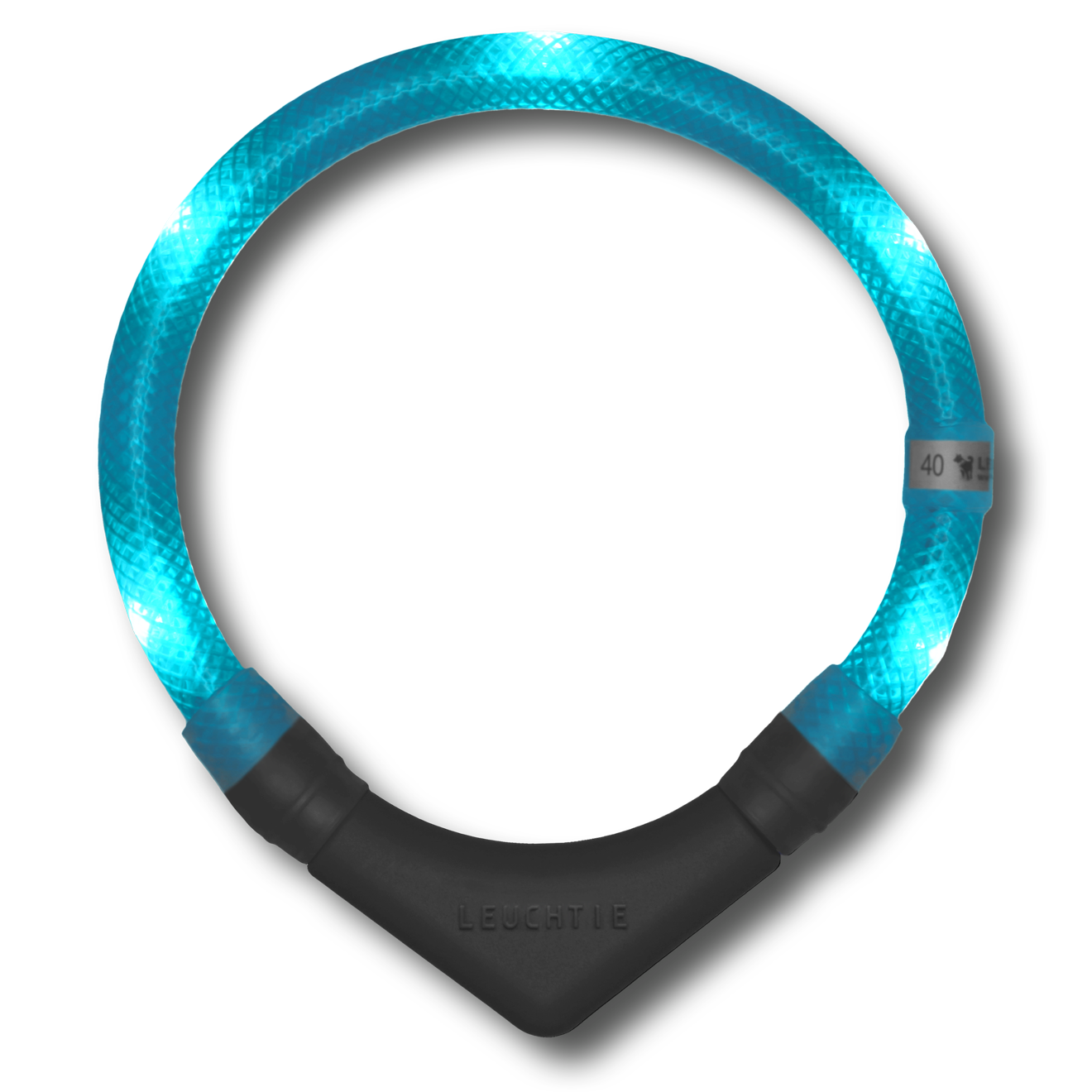 Disko Dog Collar (XS - XL)