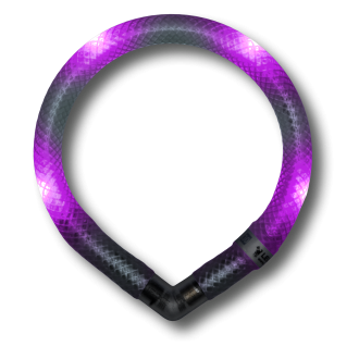 Disko Dog - Motion Activated LED Collar (small breeds)