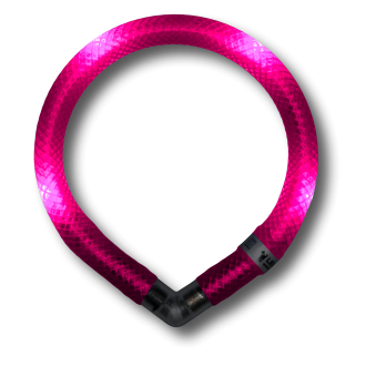 Disko Dog - Motion Activated LED Collar (small breeds)
