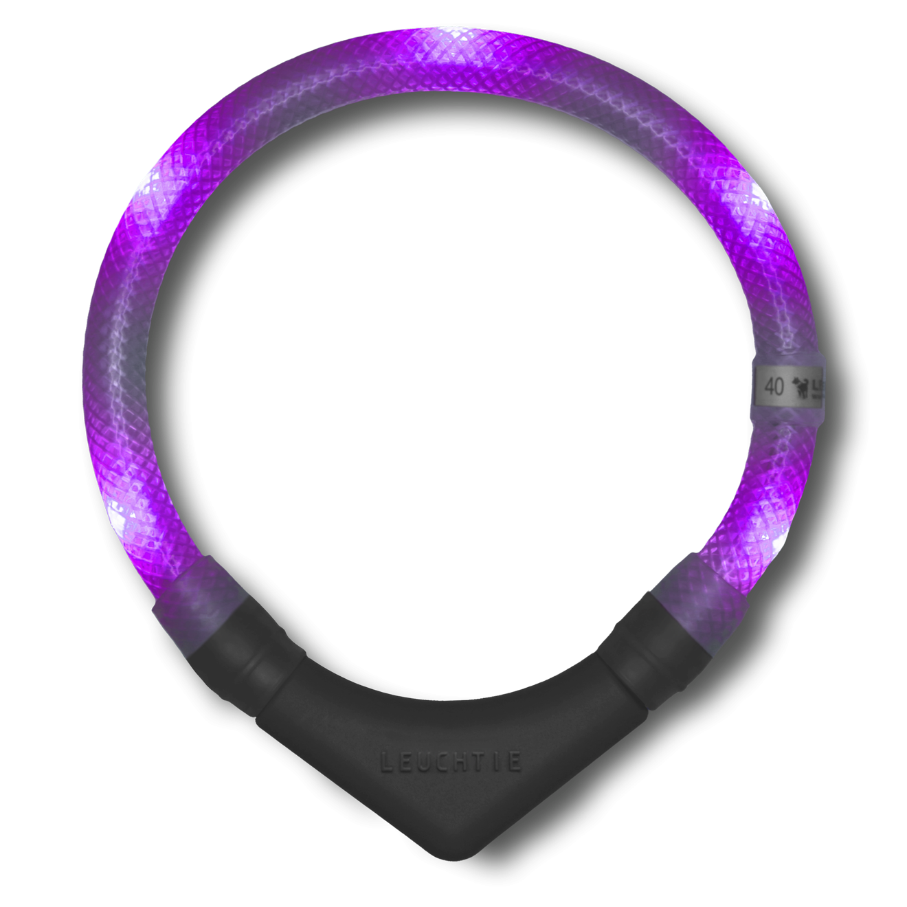 Disko Dog Collar (XS - XL)