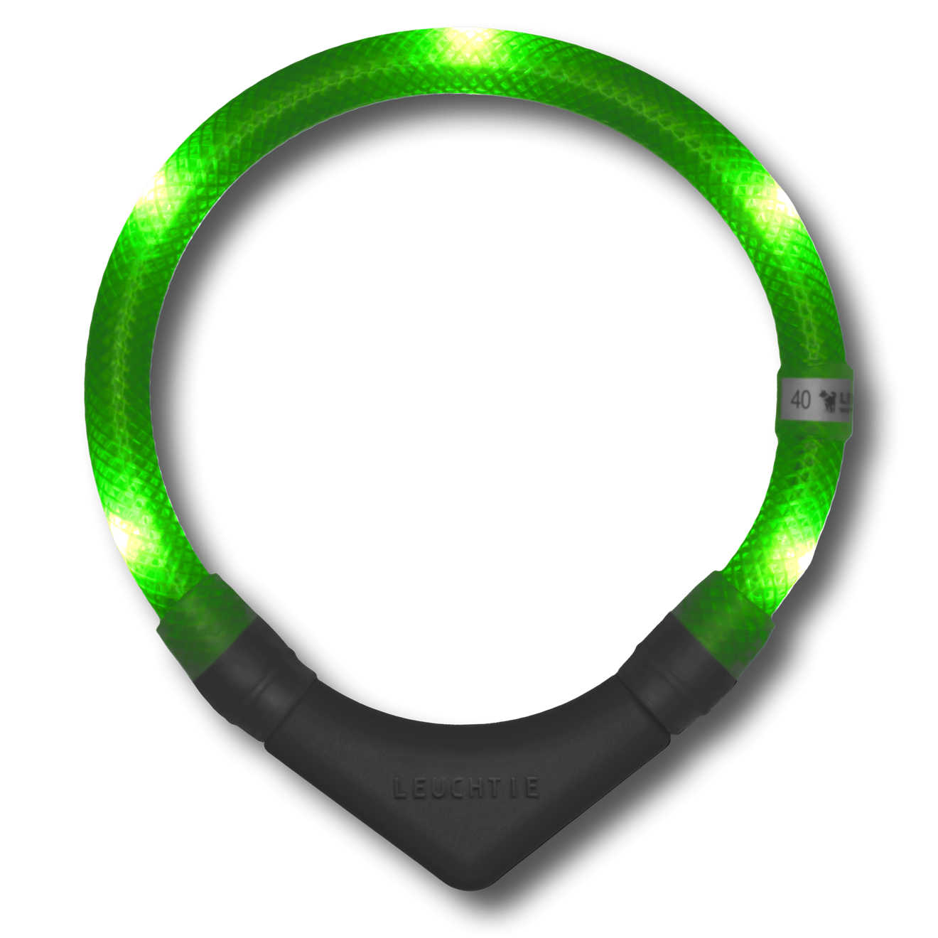 Disko Dog Collar (XS - XL)