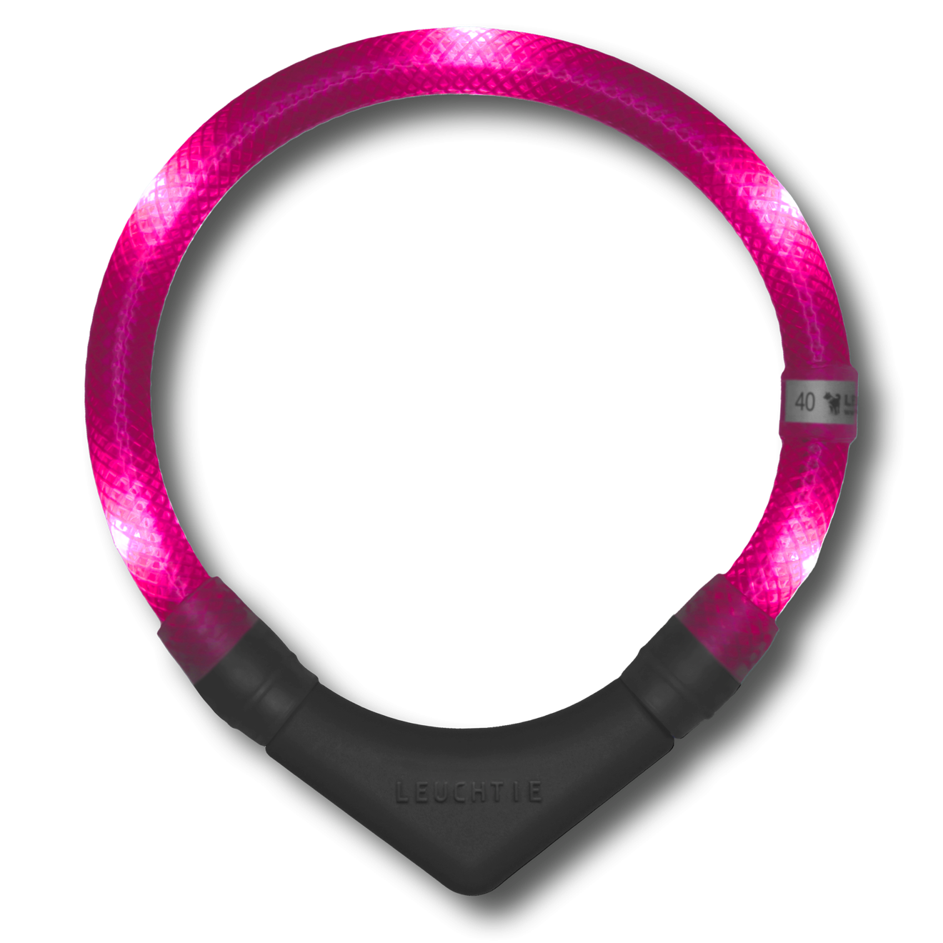 Disko Dog Collar (XS - XL)
