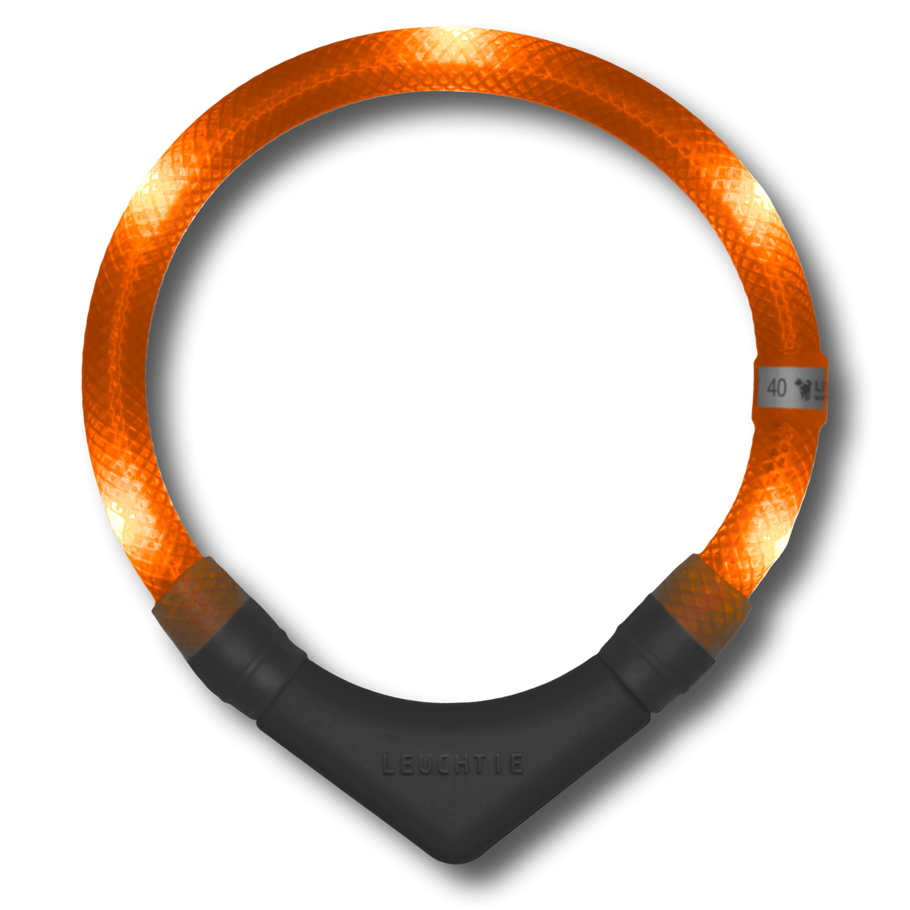 Disko Dog Collar (XS - XL)