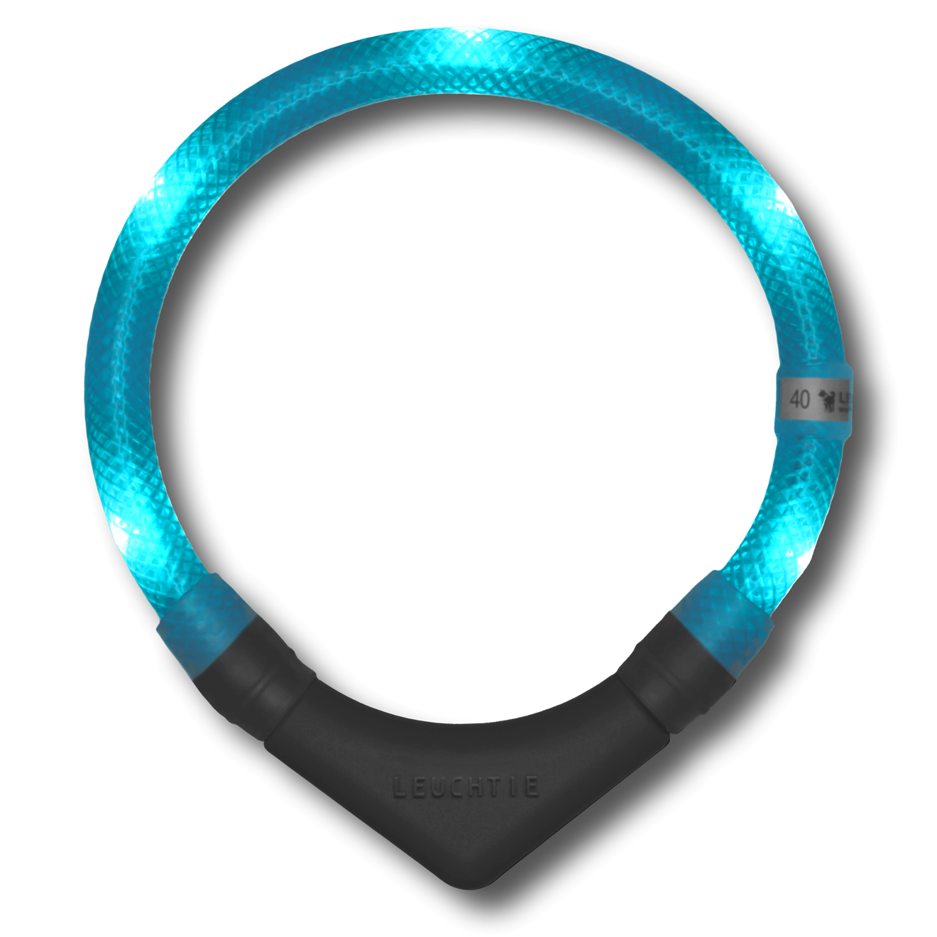 Disko Dog Collar (XS - XL)