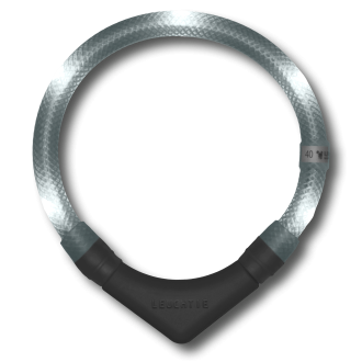 Disko Dog Collar (XS - XL)