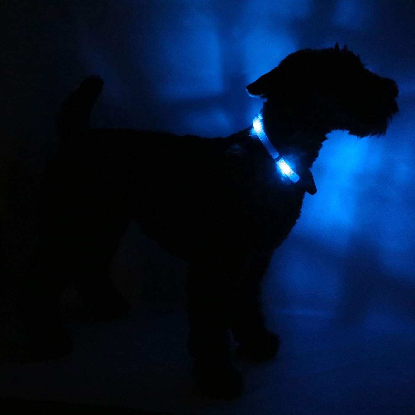 Disko Dog - Motion Activated LED Collar (XXL breeds)