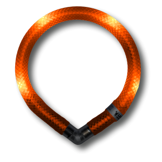 Disko Dog - Motion Activated LED Collar (small breeds)