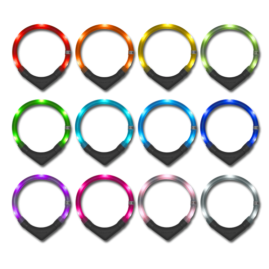 Disko Dog Collar (XS - XL)
